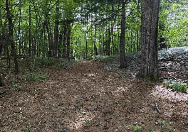 Photo 1 of Land for sale at 40 E Putney Brk Rd, Putney, VT 05346 | MLS# 5107534 | Listing updated on 2026-09-03