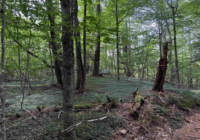 Photo 2 of Land for sale at 40 E Putney Brk Rd, Putney, VT 05346 | MLS# 5107534 | Listing updated on 2026-09-03