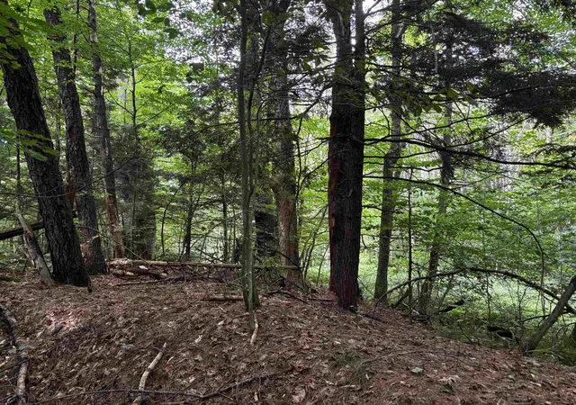 Photo 3 of Land for sale at 40 E Putney Brk Rd, Putney, VT 05346 | MLS# 5107534 | Listing updated on 2026-09-03