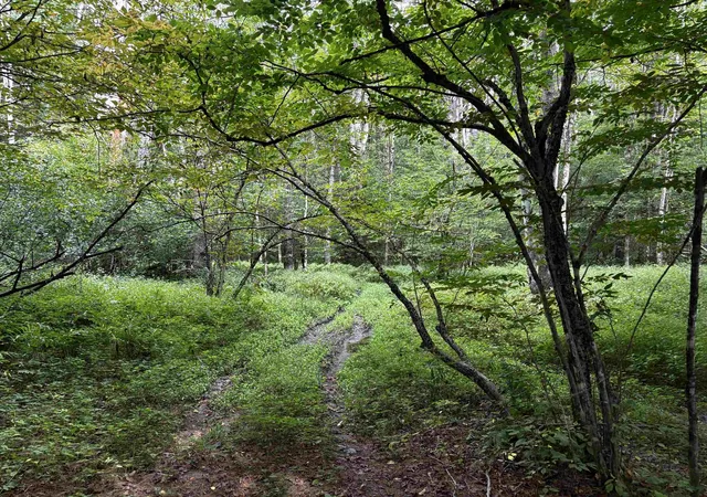 Photo 4 of Land for sale at 40 E Putney Brk Rd, Putney, VT 05346 | MLS# 5107534 | Listing updated on 2026-09-03