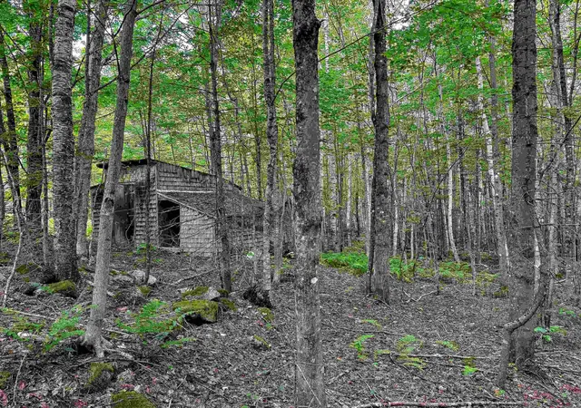 Photo 4 of Sale Pending at 1832 Kinney Hl Rd, West Burke, VT 05871 | MLS# 5107551 | Listing updated on 2026-09-08