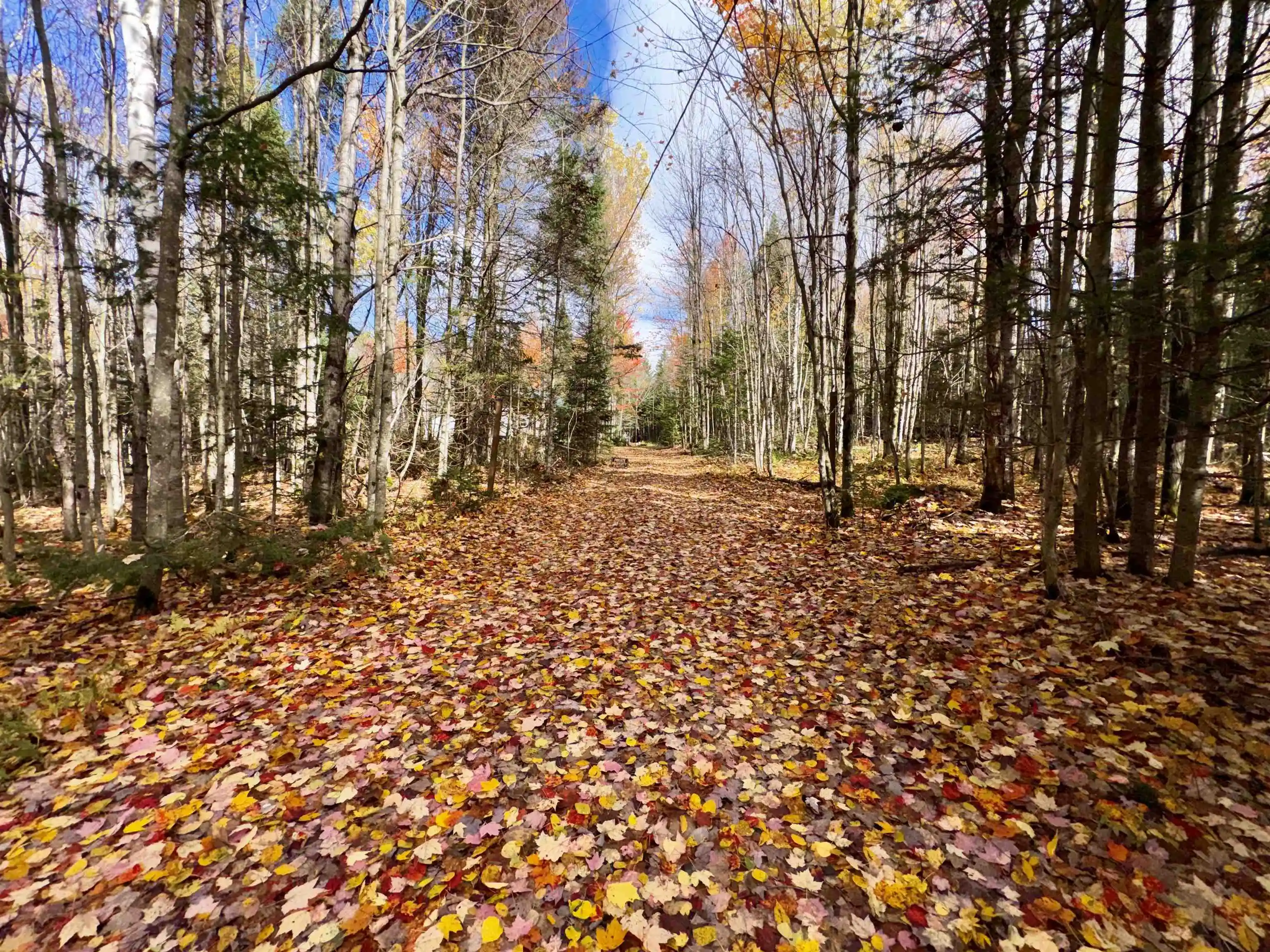 Land for sale at 67 Lynch Rd, Stewartstown, NH 03576 | MLS# 5114457