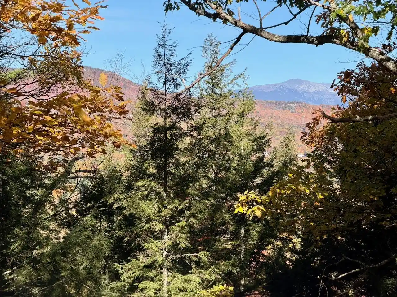 Photo 1 of Single family home for sale at 515 W Side Rd, Bartlett, NH 03812 | MLS# 5114683 | Listing updated on 2026-10-17