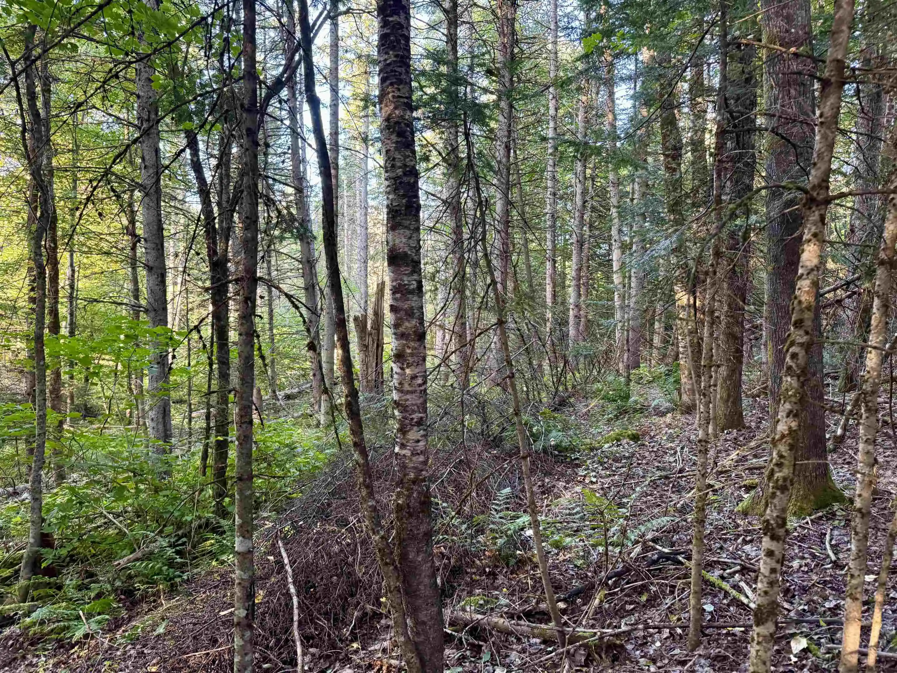 Land for sale at Lot 6 Jennings Rd, Colebrook, NH 03576 | MLS# 5114892