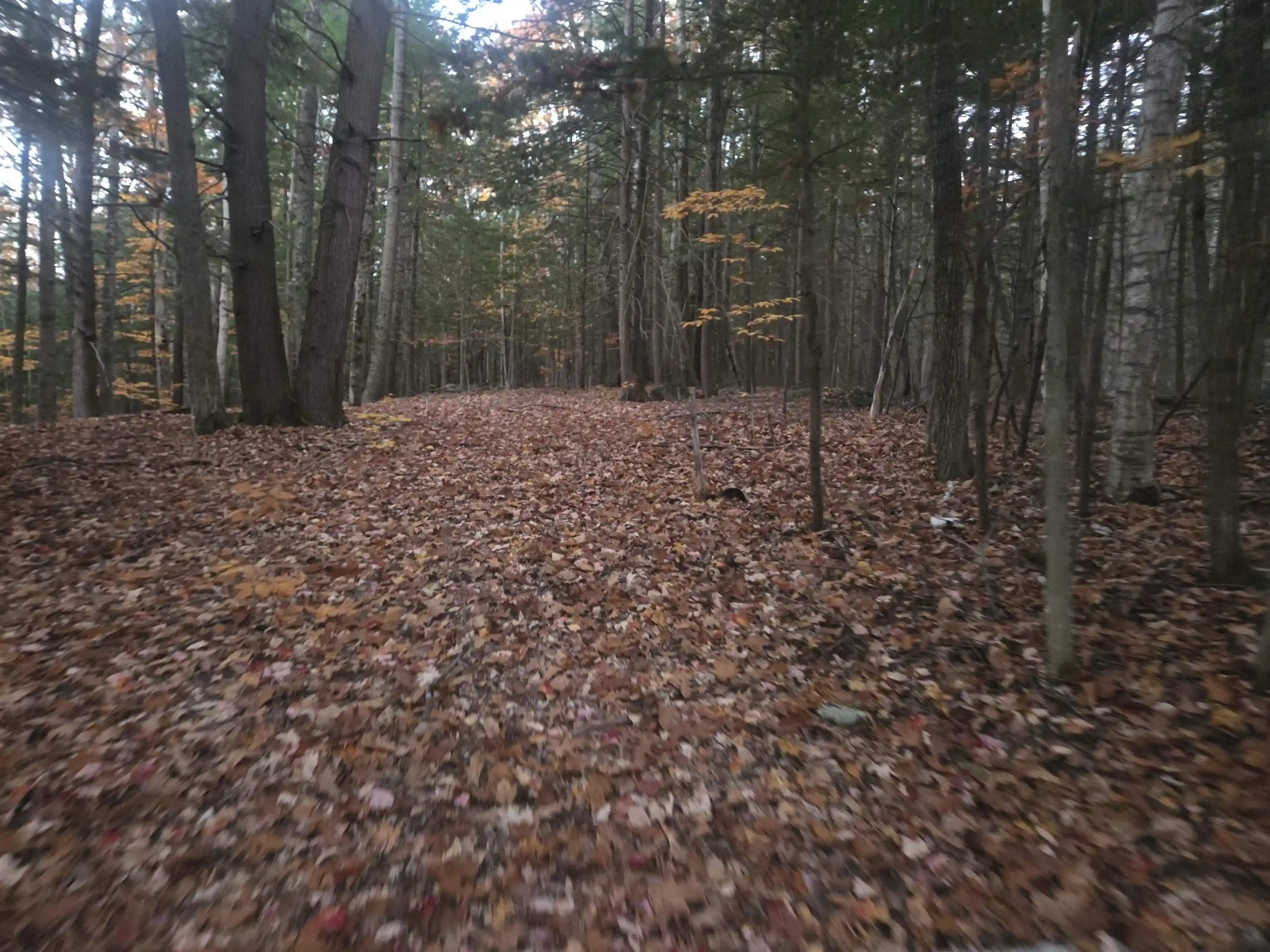 Photo 1 of Land for sale at Map 09 Lot 30 Gould Pond Rd, Hillsborough, NH 03244 | MLS# 5115028 | Listing updated on 2026-10-31
