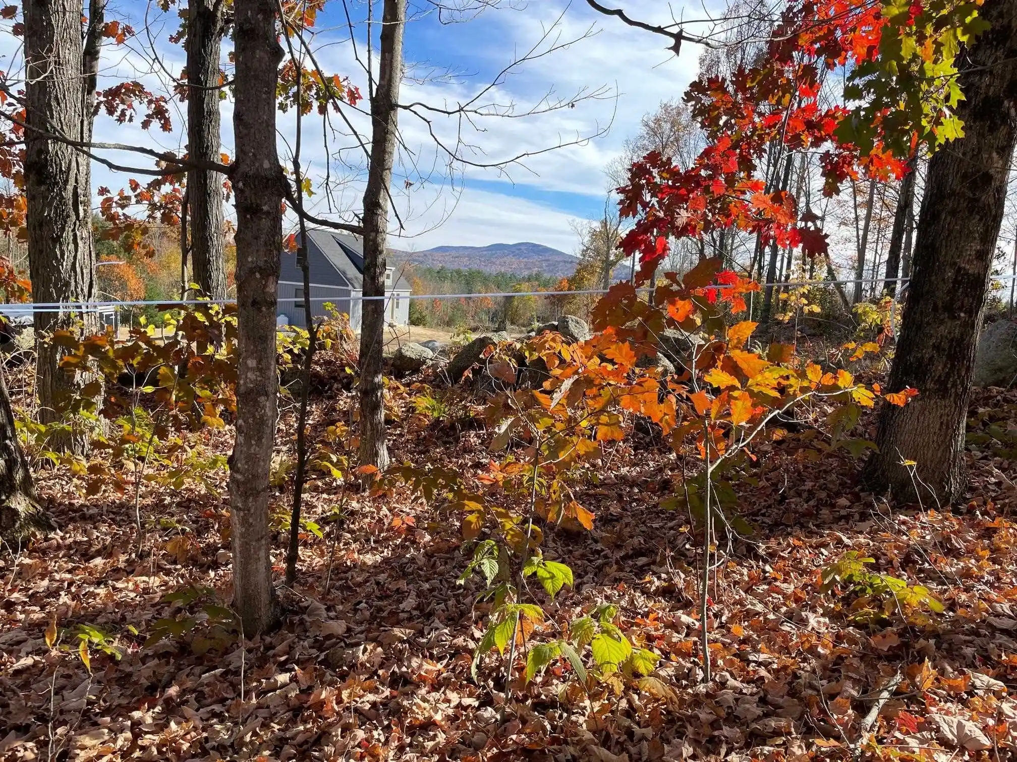 Photo 1 of Land for sale at 00 Turner Hl Rd, Antrim, NH 03440 | MLS# 5115205 | Listing updated on 2026-10-22