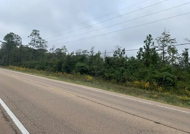 Photo 2 of Land for sale at 0 Hwy 22 & 445 Hwy, Ponchatoula, LA 70454 | MLS# 2425570 | Listing updated on 2025-10-03