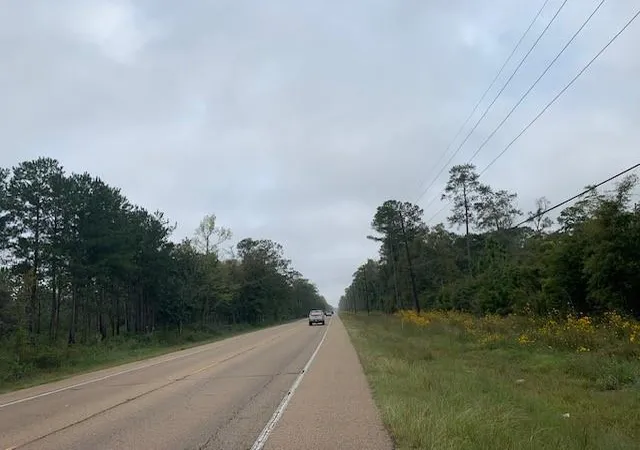 Photo 3 of Land for sale at 0 Hwy 22 & 445 Hwy, Ponchatoula, LA 70454 | MLS# 2425570 | Listing updated on 2025-10-03