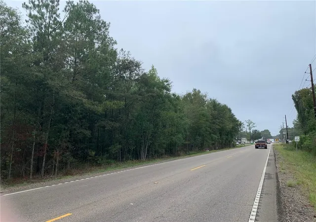 Homes for sale in Robert, LA | C-1 Hwy 445 Hwy, Robert, LA 70455 | MLS# 2425636