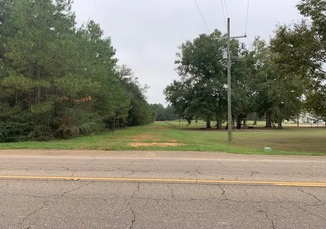 Homes for sale in Robert, LA | 0 Hwy 190 Hwy, Robert, LA 70455 | MLS# 2428618