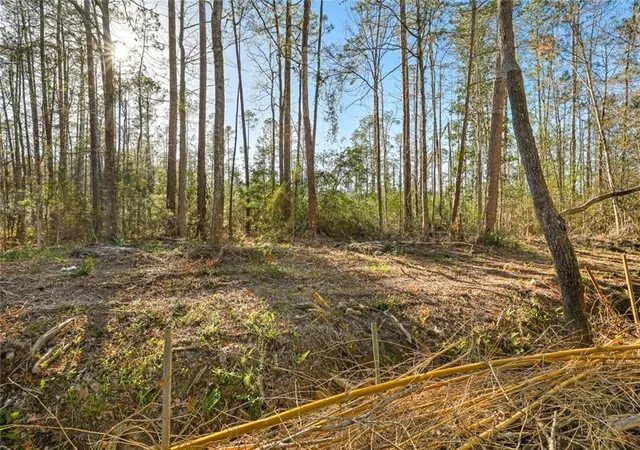 12th image of 00 South Ln, Mandeville, LA 70448 | MLS# 2442250