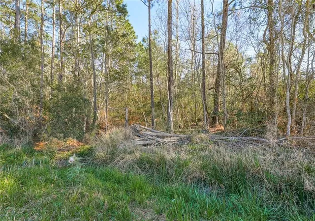 4th image of 00 South Ln, Mandeville, LA 70448 | MLS# 2442250
