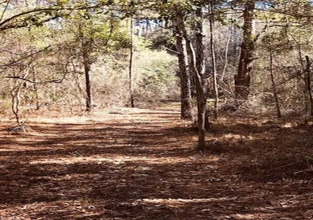 Photo 4 of Land for sale at 29227 Pacquet Rd, Lacombe, LA 70445 | MLS# 2448413 | Listing updated on 2025-11-08
