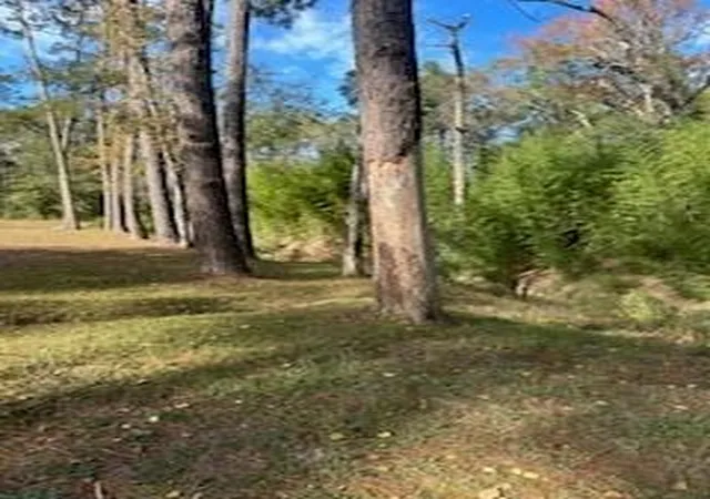 Photo 3 of Land for sale at Lot 7 Kate St, Hammond, LA 70403 | MLS# 2486928 | Listing updated on 2025-02-12