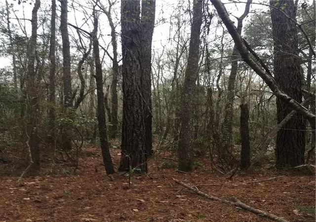 3rd image of Tbd La Hwy 1064 Rd, Hammond, LA 70401 | MLS# 2323841