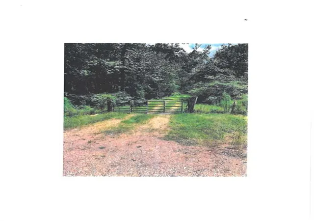Photo 1 of Land for sale at 13450 E 442 Hwy, Tickfaw, LA 70466 | MLS# 2354998 | Listing updated on 2026-07-15