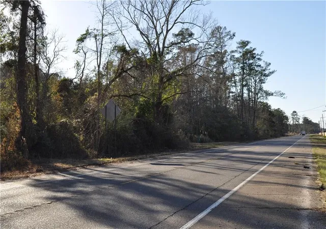 Photo 2 of Land for sale at 24182 Hwy 22 Hwy, Ponchatoula, LA 70454 | MLS# 2376863 | Listing updated on 2026-06-23