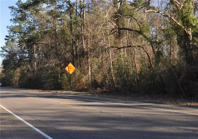 Photo 3 of Land for sale at 24182 Hwy 22 Hwy, Ponchatoula, LA 70454 | MLS# 2376863 | Listing updated on 2026-06-23