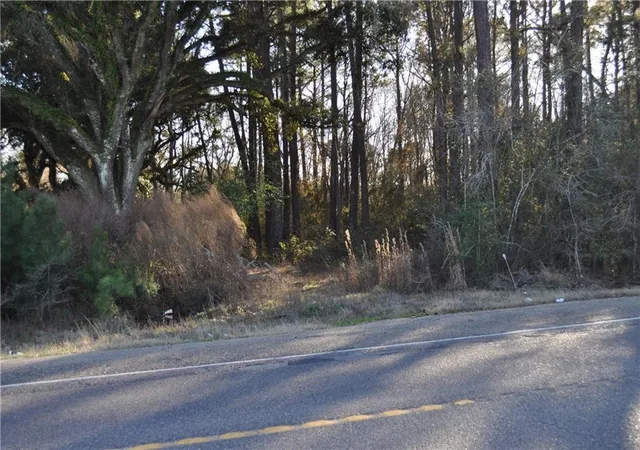 Photo 4 of Land for sale at 24182 Hwy 22 Hwy, Ponchatoula, LA 70454 | MLS# 2376863 | Listing updated on 2026-06-23