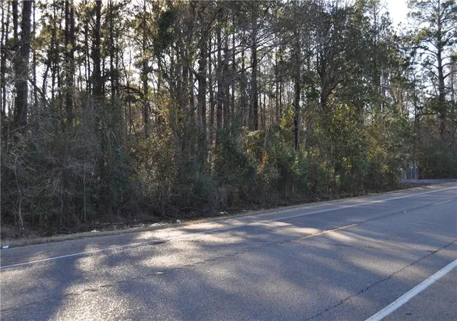 Photo 6 of Land for sale at 24182 Hwy 22 Hwy, Ponchatoula, LA 70454 | MLS# 2376863 | Listing updated on 2026-06-23