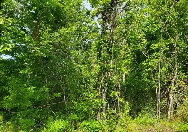 Photo 1 of Land for sale at 10860 Willow Dr, New Orleans, LA 70131 | MLS# 2389723 | Listing updated on 2026-04-14
