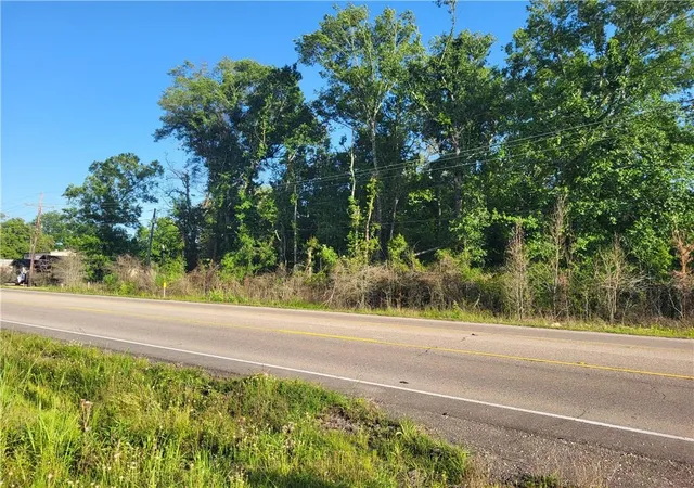 2nd image of 988 Acres E Hwy 190 Hwy, Hammond, LA 70401 | MLS# 2391434