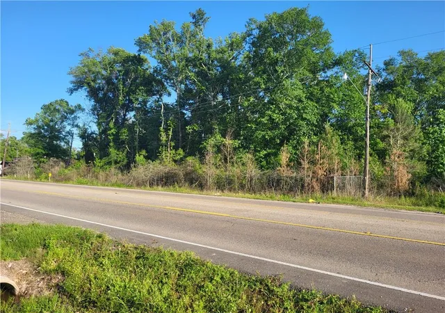 3rd image of 988 Acres E Hwy 190 Hwy, Hammond, LA 70401 | MLS# 2391434