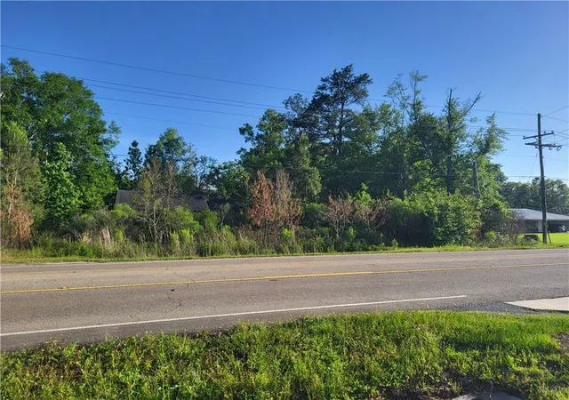 4th image of 988 Acres E Hwy 190 Hwy, Hammond, LA 70401 | MLS# 2391434