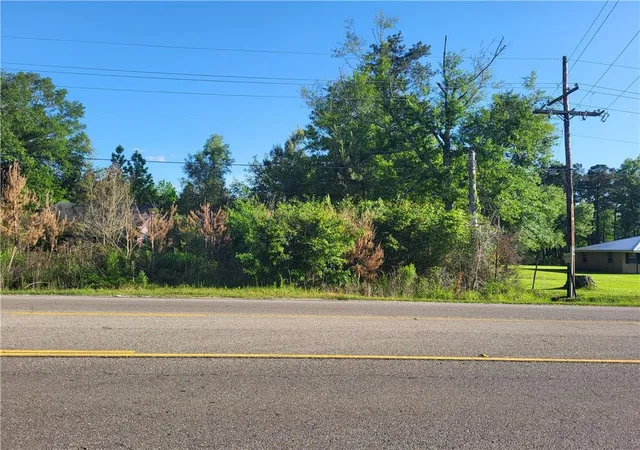 8th image of 988 Acres E Hwy 190 Hwy, Hammond, LA 70401 | MLS# 2391434