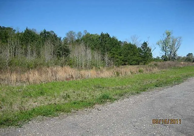 3rd image of 12173 W Hwy 190, Hammond, LA 70401 | MLS# 2403180