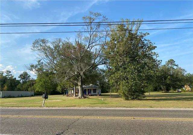 Homes for sale in Springfield, LA | 27218 Hwy 42 Hwy, Springfield, LA 70462 | MLS# 2415917