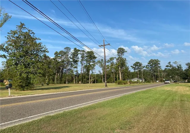 Homes for sale in Springfield, LA | 27218 Hwy 42 Hwy, Springfield, LA 70462 | MLS# 2415917