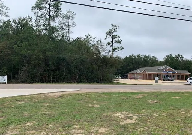 Homes for sale in Robert, LA | C3 Hwy 445 Hwy, Robert, LA 70455 | MLS# 2426044