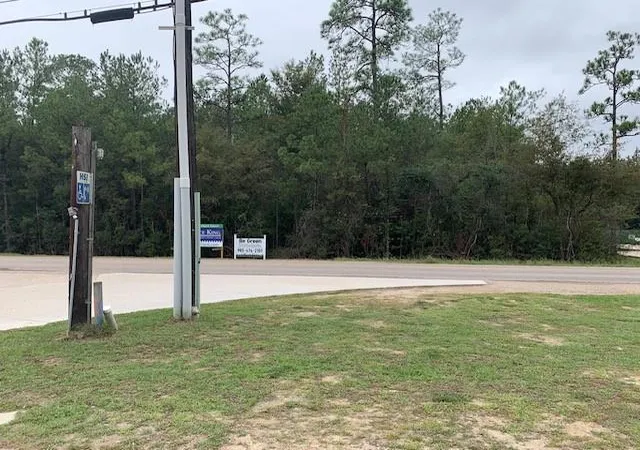 Homes for sale in Robert, LA | C3 Hwy 445 Hwy, Robert, LA 70455 | MLS# 2426044