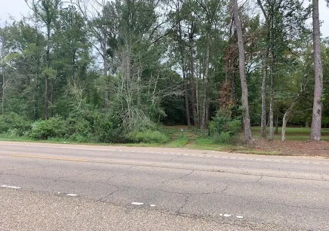 Homes for sale in Robert, LA | 0 Holmes Ln, Robert, LA 70454 | MLS# 2426508