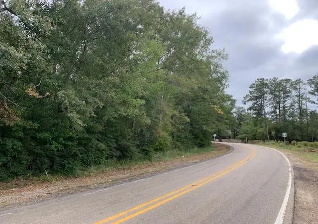 2nd image of 0 Old Covington Hwy 1067 Hwy, Hammond, LA 70401 | MLS# 2428637