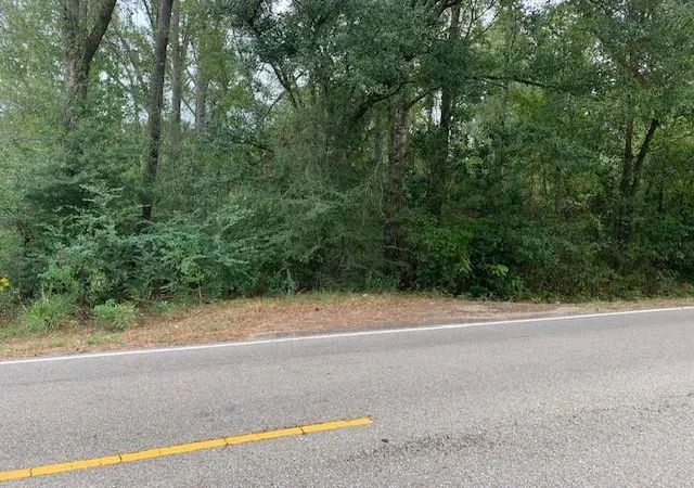 4th image of 0 Old Covington Hwy 1067 Hwy, Hammond, LA 70401 | MLS# 2428637