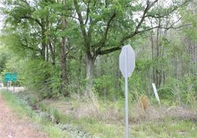 1st image of Hwy 25 Hwy, Covington, LA 70433 | MLS# 2442027
