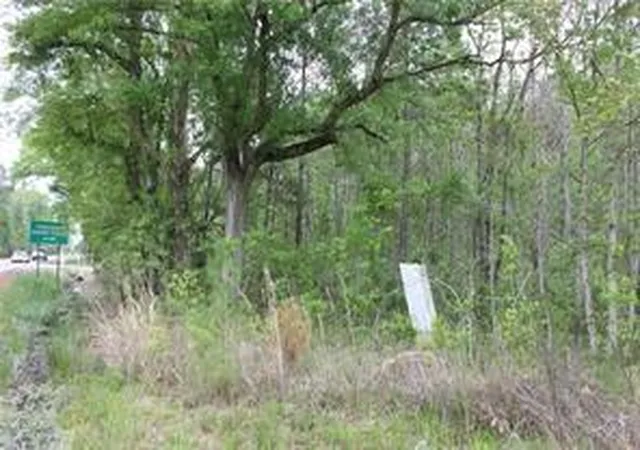 4th image of Hwy 25 Hwy, Covington, LA 70433 | MLS# 2442027