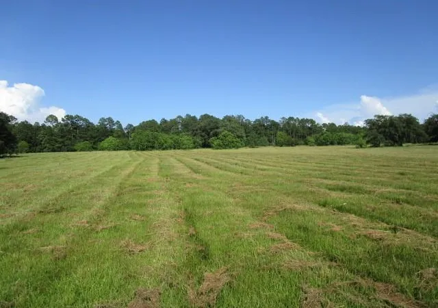 Photo 1 of Land for sale at 0 Fielder Ln, Pearl River, LA 70452 | MLS# 2452216 | Listing updated on 2026-06-03