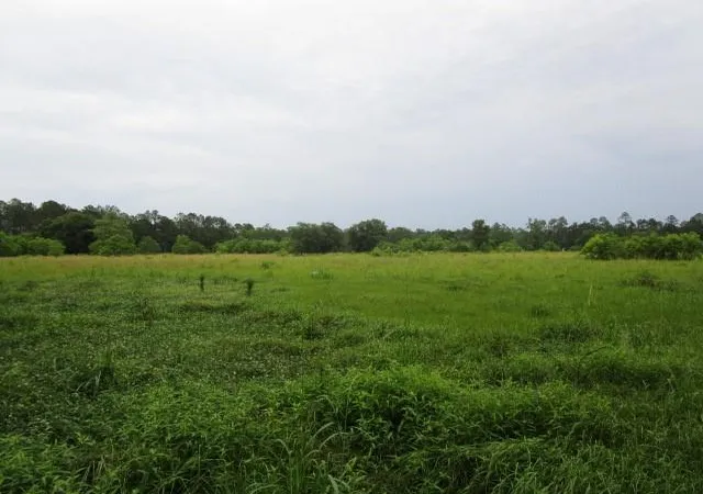 Photo 2 of Land for sale at 0 Fielder Ln, Pearl River, LA 70452 | MLS# 2452216 | Listing updated on 2026-06-03