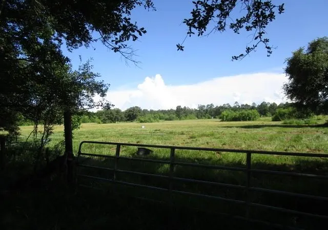 Photo 3 of Land for sale at 0 Fielder Ln, Pearl River, LA 70452 | MLS# 2452216 | Listing updated on 2026-06-03
