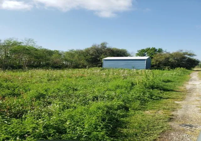 Homes for sale in Buras, LA | 30240 Hwy 23 Hwy, Buras, LA 70041 | MLS# 2455609