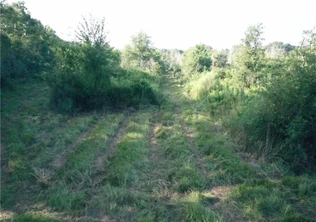Photo 31 of Land for sale at (Undisclosed), Folsom, LA 70437 | MLS# 2461327 | Listing updated on 2026-08-04