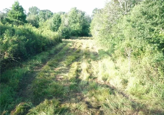 Photo 3 of Land for sale at (Undisclosed), Folsom, LA 70437 | MLS# 2461327 | Listing updated on 2026-08-04