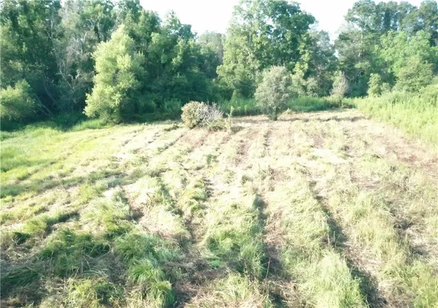 Photo 4 of Land for sale at (Undisclosed), Folsom, LA 70437 | MLS# 2461327 | Listing updated on 2026-08-04