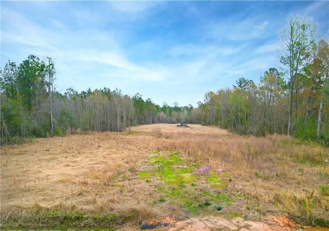 1st image of South Coburn Rd, Hammond, LA 70401 | MLS# 2465580