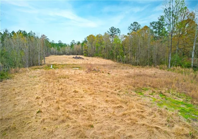 Photo 3 of Land for sale at South Coburn Rd, Hammond, LA 70403 | MLS# 2465580 | Listing updated on 2026-09-23