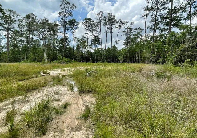 Photo 1 of Land for sale at 0 Marple Ln, Slidell, LA 70461 | MLS# 2469255 | Listing updated on 2026-06-24