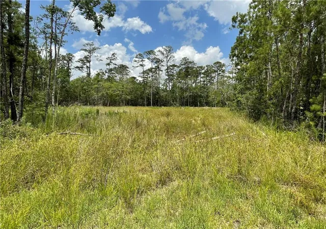 Photo 1 of Land for sale at 0 Brandon Dr, Slidell, LA 70461 | MLS# 2469293 | Listing updated on 2026-06-24